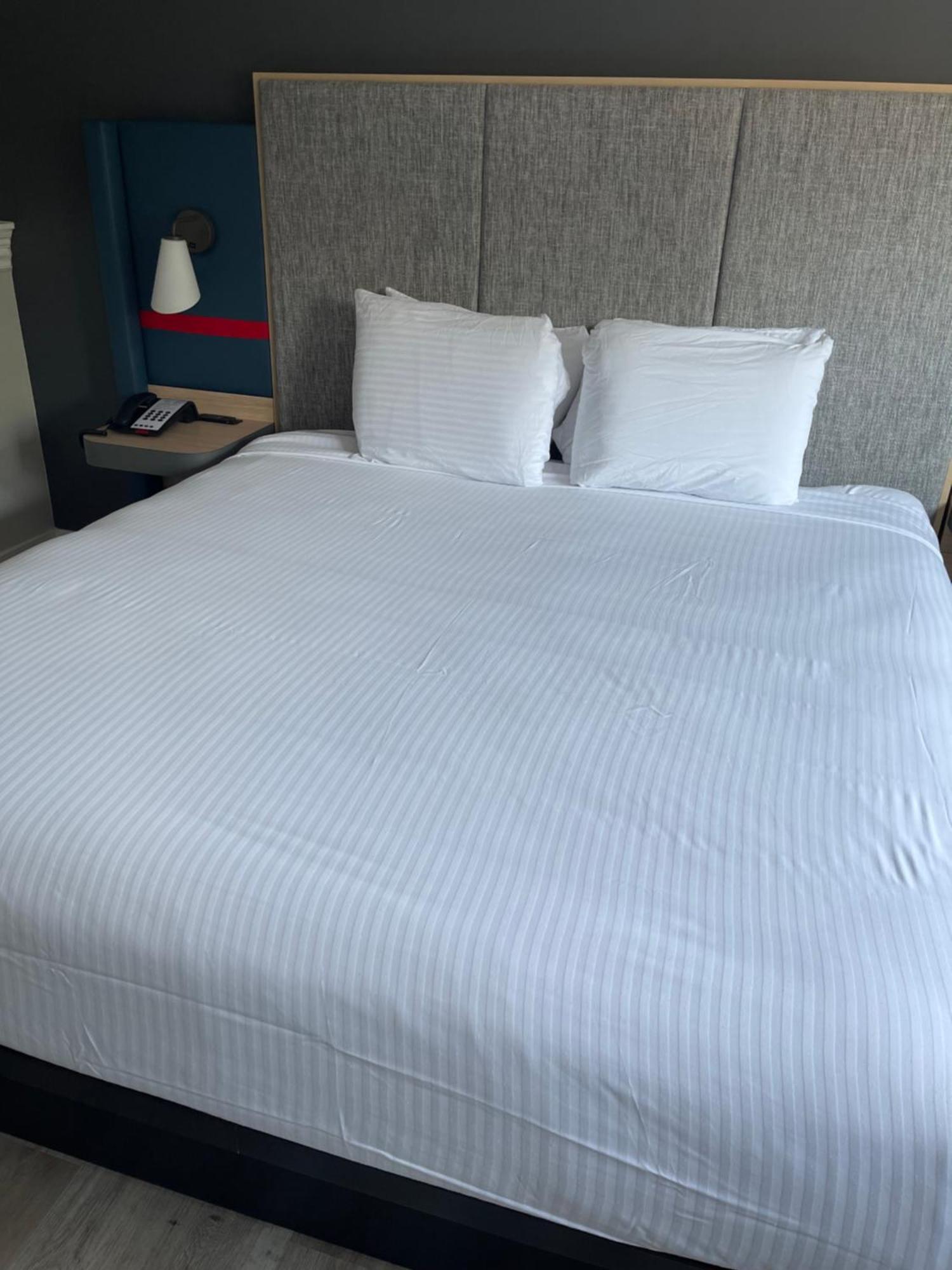 The Midtowner Hotel, Surestay Collection By Best Western Sacramento Exteriör bild